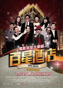百星酒店 - 喜剧片 (2013) 海报