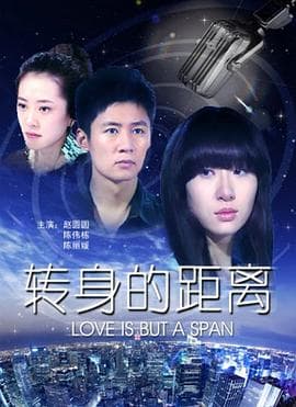 转身的距离 - 剧情片 (2010) 海报