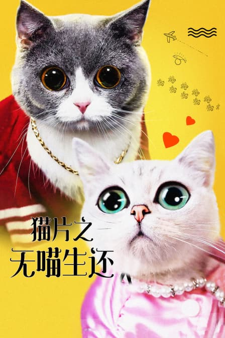 猫片之无喵生还 - 剧情片 (2019) 海报