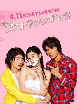 最后的灰姑娘 - 日剧 (2013) 海报