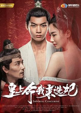 皇上命我来选妃 - 喜剧片 (2018) 海报