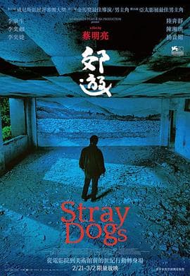 郊游 - 剧情片 (2013) 海报