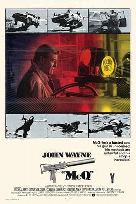 盗毒 - 剧情片 (1974) 海报