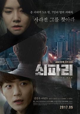 牛蝇 - 剧情片 (2017) 海报