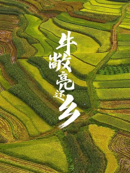 牛敞亮还乡 - 剧情片 (2010) 海报