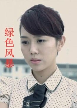 绿色风暴 - 剧情片 (2011) 海报