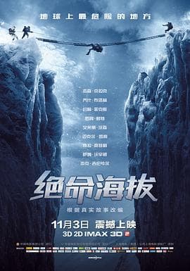 绝命海拔 - 剧情片 (2015) 海报