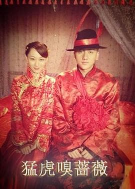 猛虎嗅蔷薇 - 剧情片 (2012) 海报