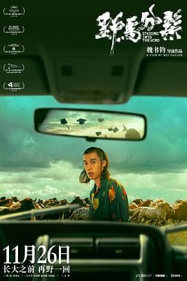 野马分鬃 - 剧情片 (2020) 海报