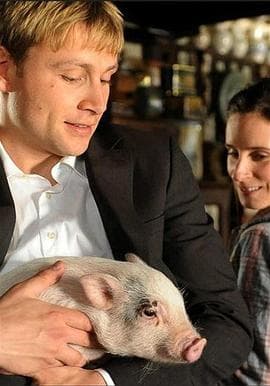 绝对保险 - 喜剧片 (2015) 海报