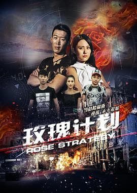 玫瑰计划 - 剧情片 (2017) 海报