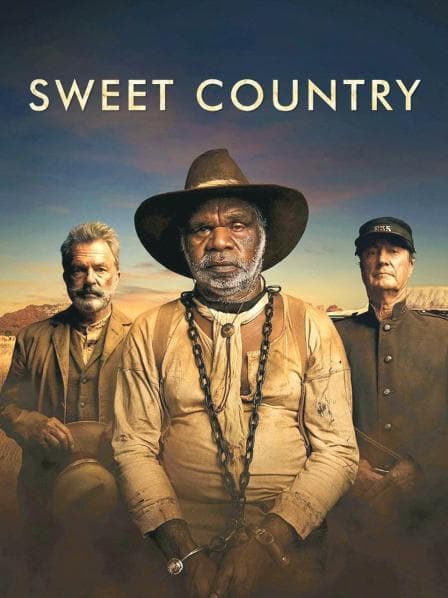 美丽国家 - 剧情片 (2018) 海报