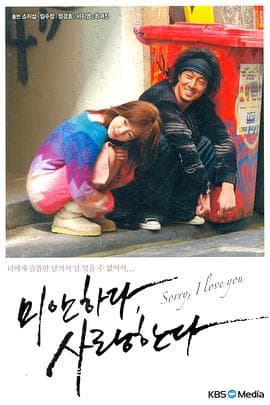 对不起,我爱你2004 - 韩剧 (2004) 海报