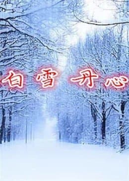 白雪丹心 - 剧情片 (2007) 海报