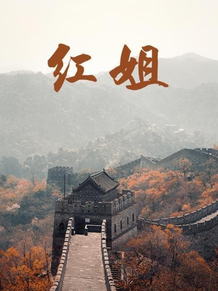 红姐2017 - 剧情片 (2017) 海报