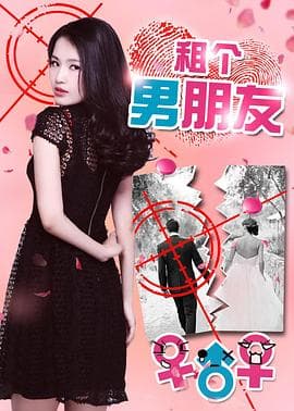 租个男朋友 - 剧情片 (2017) 海报