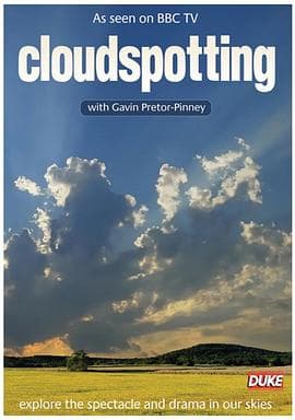 辨认云彩 - 剧情片 (2009) 海报