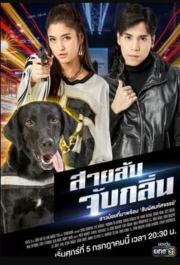 侦探K9普国语 - 泰剧 (0) 海报