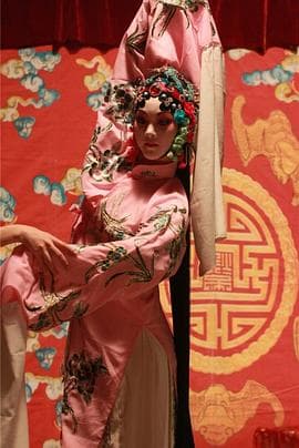 胭脂劫 - 剧情片 (2010) 海报