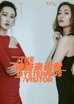 神秘来访者 - 剧情片 (2017) 海报
