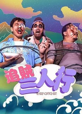 追贼三人行 - 剧情片 (2009) 海报