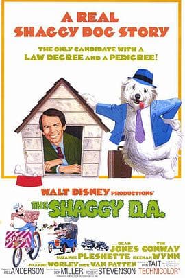 长毛检察官 - 喜剧片 (1976) 海报