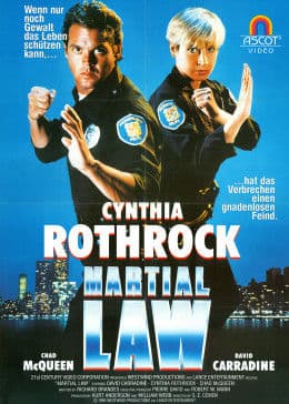 特别突击队 - 剧情片 (1991) 海报