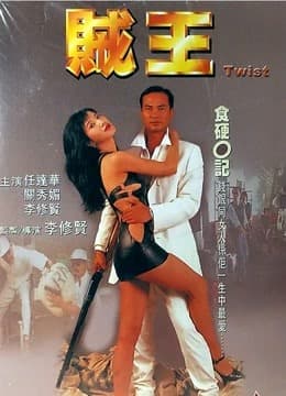 贼王 1995 - 动作片 (1995) 海报