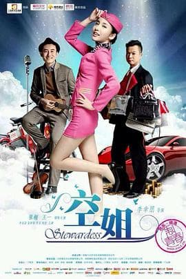 空姐 - 剧情片 (2014) 海报