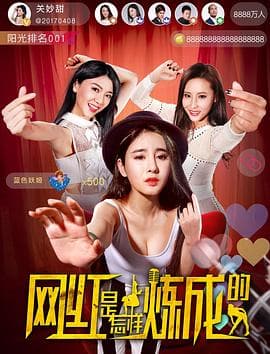 网红是怎样炼成的 - 喜剧片 (2017) 海报