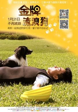 金牌流浪狗 - 喜剧片 (2013) 海报