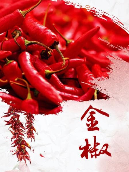 金椒 - 剧情片 (2010) 海报