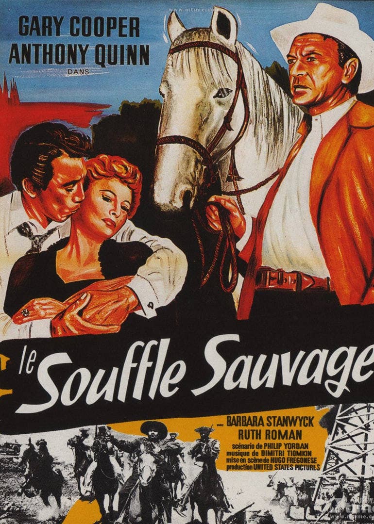 狂风飞絮 - 剧情片 (1953) 海报