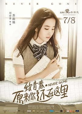 致青春·原来你还在这里 - 剧情片 (2016) 海报