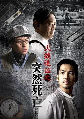 火线追凶之突然死亡 - 剧情片 (2009) 海报