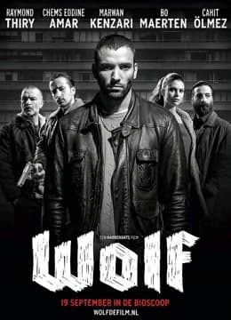 狼(2013) - 剧情片 (2013) 海报