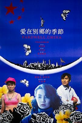 爱在别乡的季节 - 剧情片 (1990) 海报