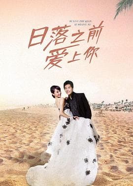 日落之前爱上你 - 台剧 (2010) 海报