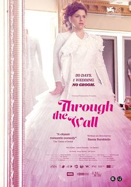 穿墙行 - 喜剧片 (2016) 海报