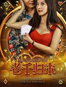 老千归来 - 剧情片 (2017) 海报