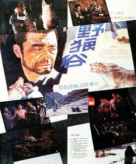 野狼谷 - 剧情片 (1989) 海报
