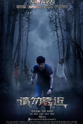 请勿靠近 - 剧情片 (2017) 海报