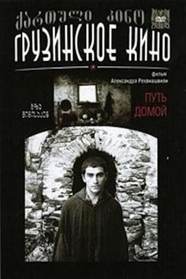 返乡之路 - 剧情片 (1981) 海报