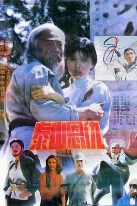 泰山恩仇 - 剧情片 (1991) 海报