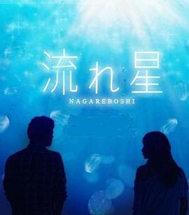 流星2010 - 日剧 (2010) 海报