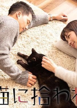 被流浪猫捡到的男人 - 剧情片 (2019) 海报