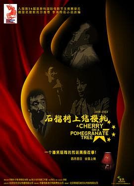 石榴树上结樱桃 - 剧情片 (2012) 海报