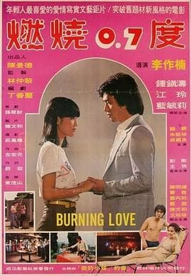 燃烧0.7度 - 剧情片 (1980) 海报