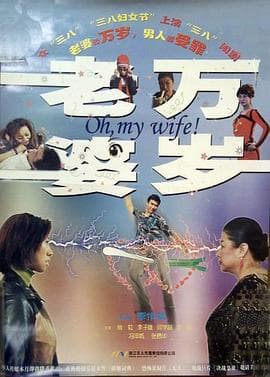 老婆万岁 - 剧情片 (2005) 海报