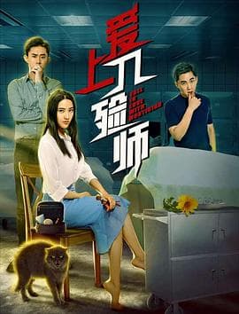 爱上入殓师 - 剧情片 (2020) 海报